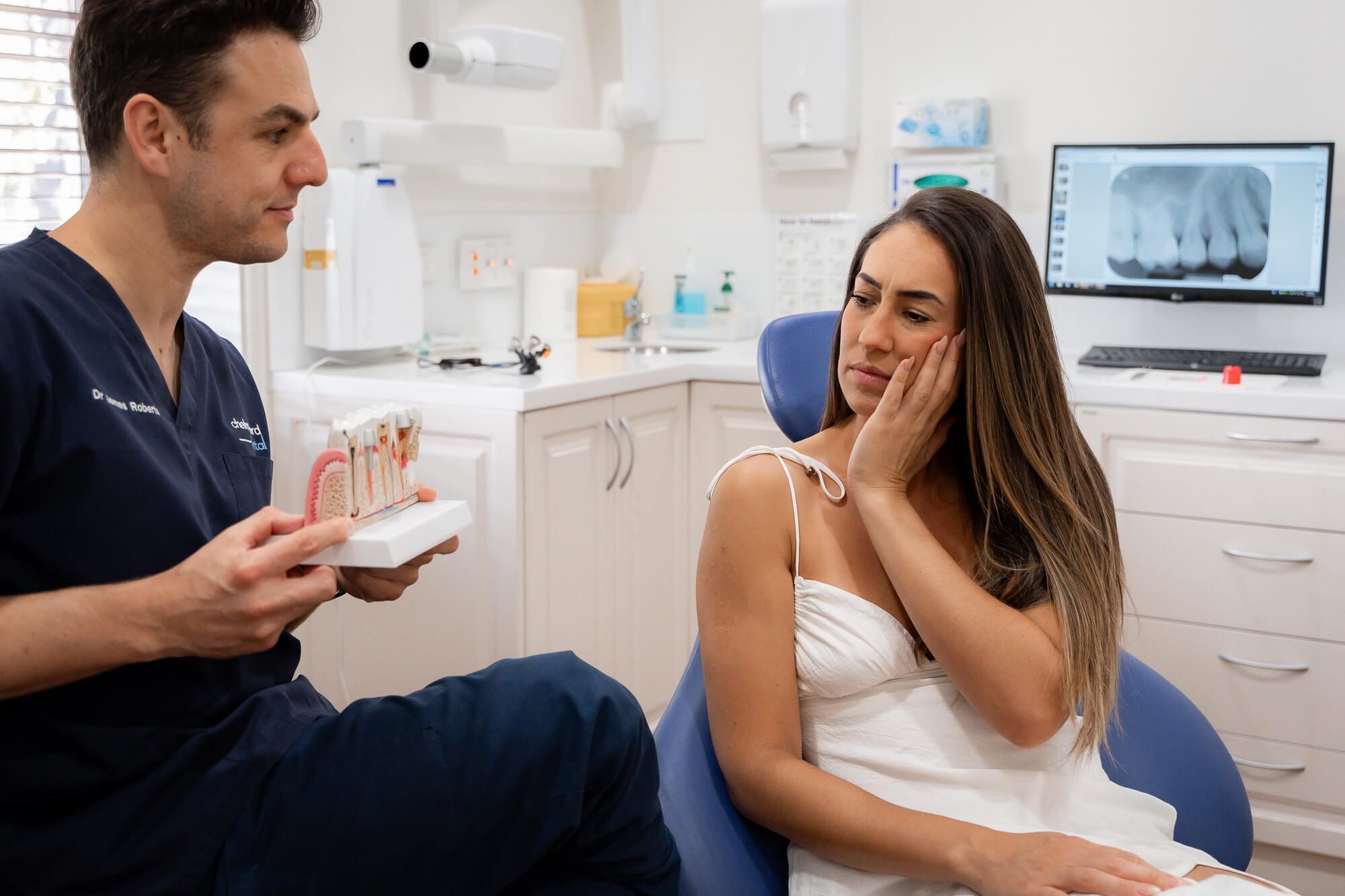 Tooth anatomy illustration